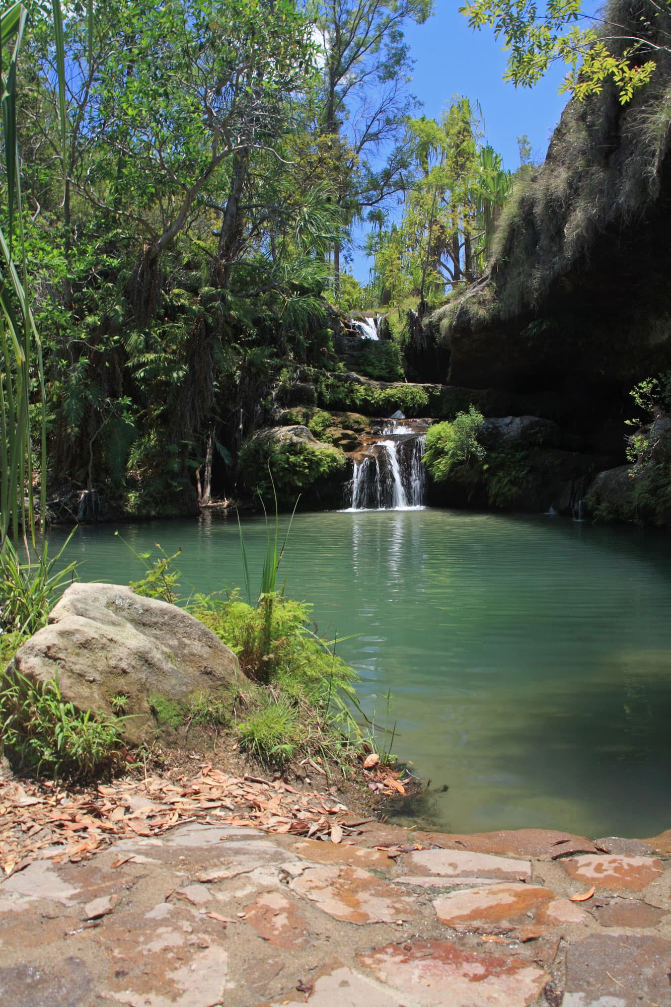 Parc National d'Isalo : le Grand Canyon de Madagascar